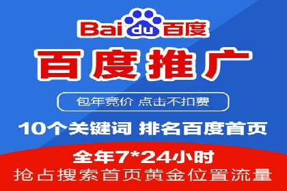 SEM竞价推广案例：打造行业领先的广告投放策略